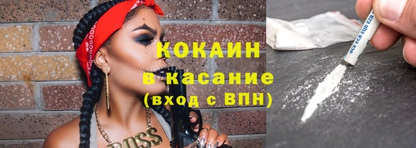 хмурый Алексин
