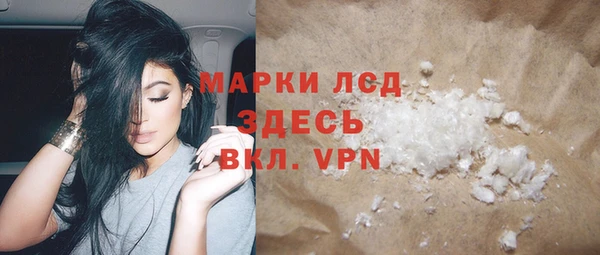 хмурый Алексин