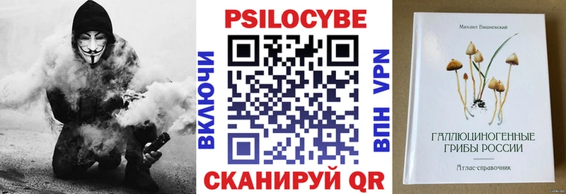 Галлюциногенные грибы Psilocybine cubensis  Боровск 
